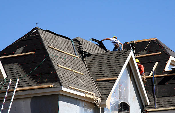 Best Commercial Roofing Services  in Honokaa, HI