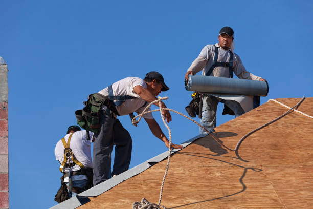 Best Roof Gutter Cleaning  in Honokaa, HI